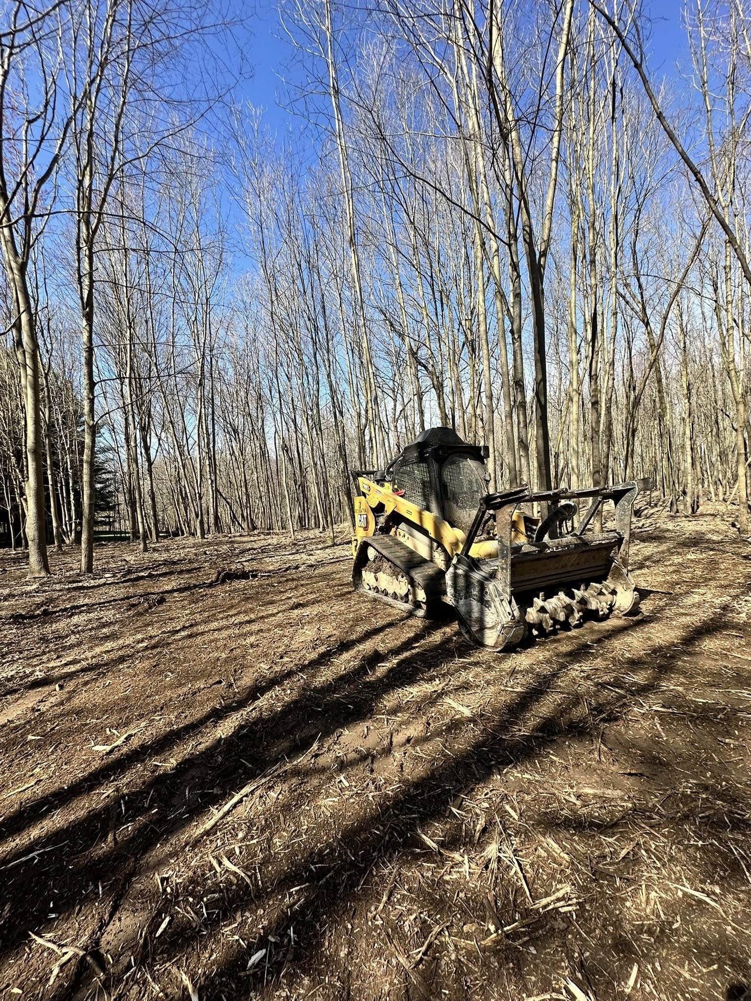 Forestry mulching
