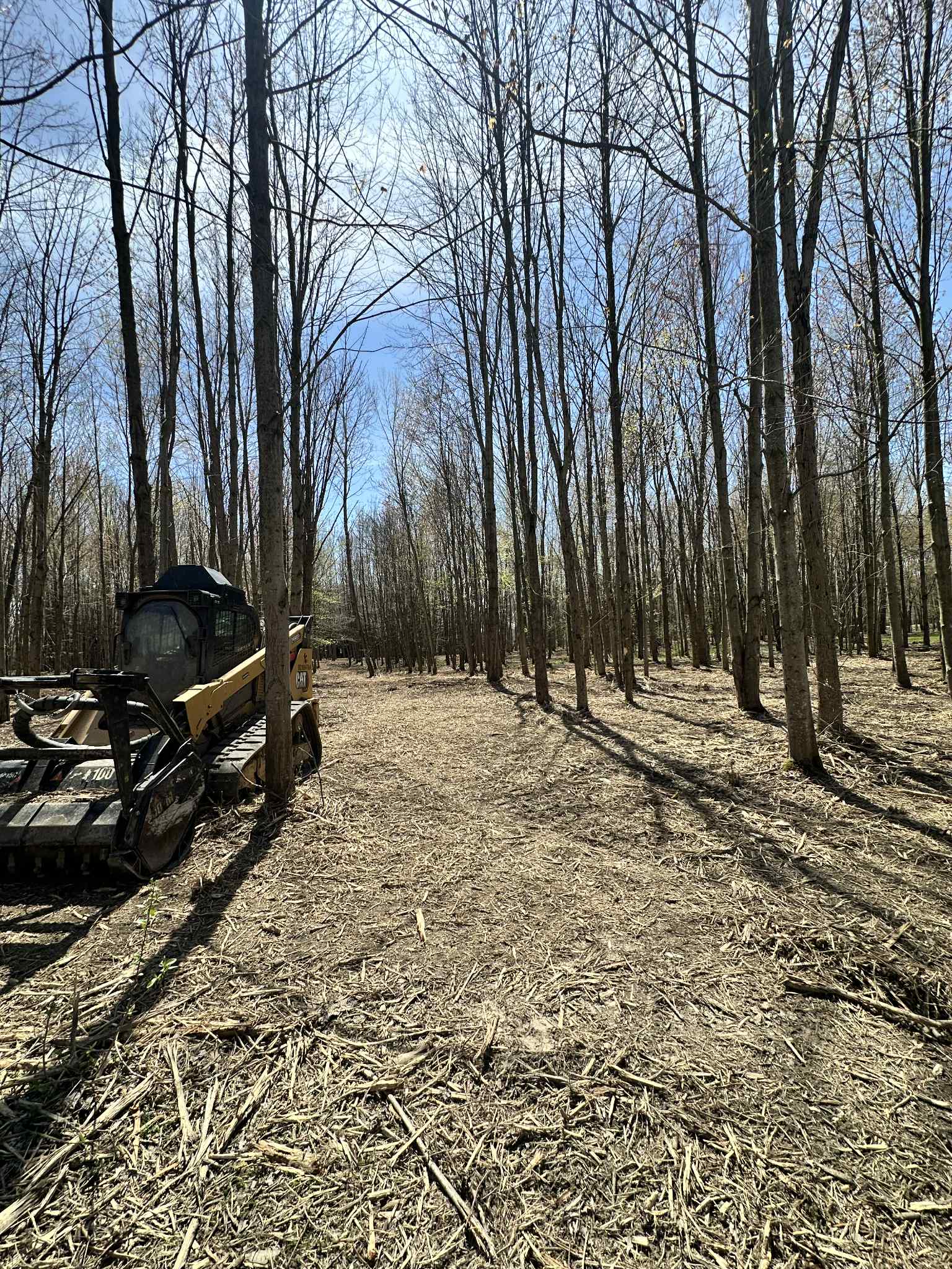 Land clearing project
