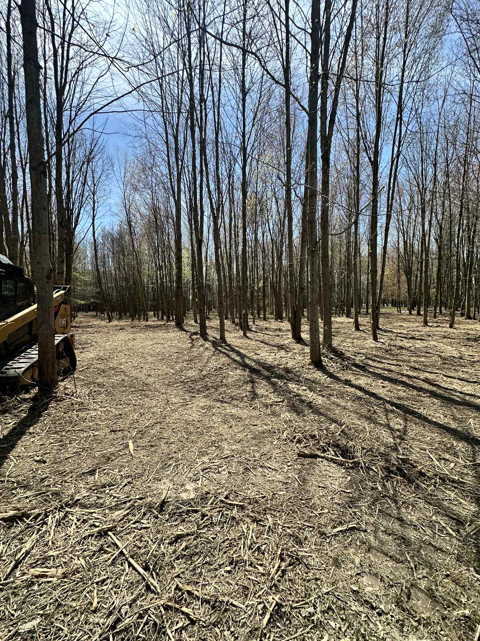 Forestry Mulching