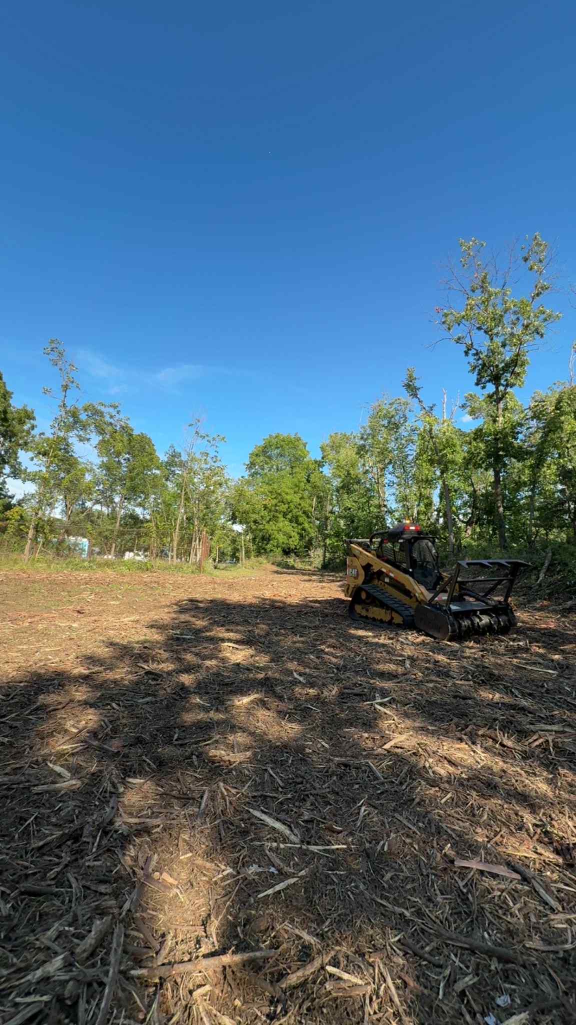 Land clearing with heavy machinery