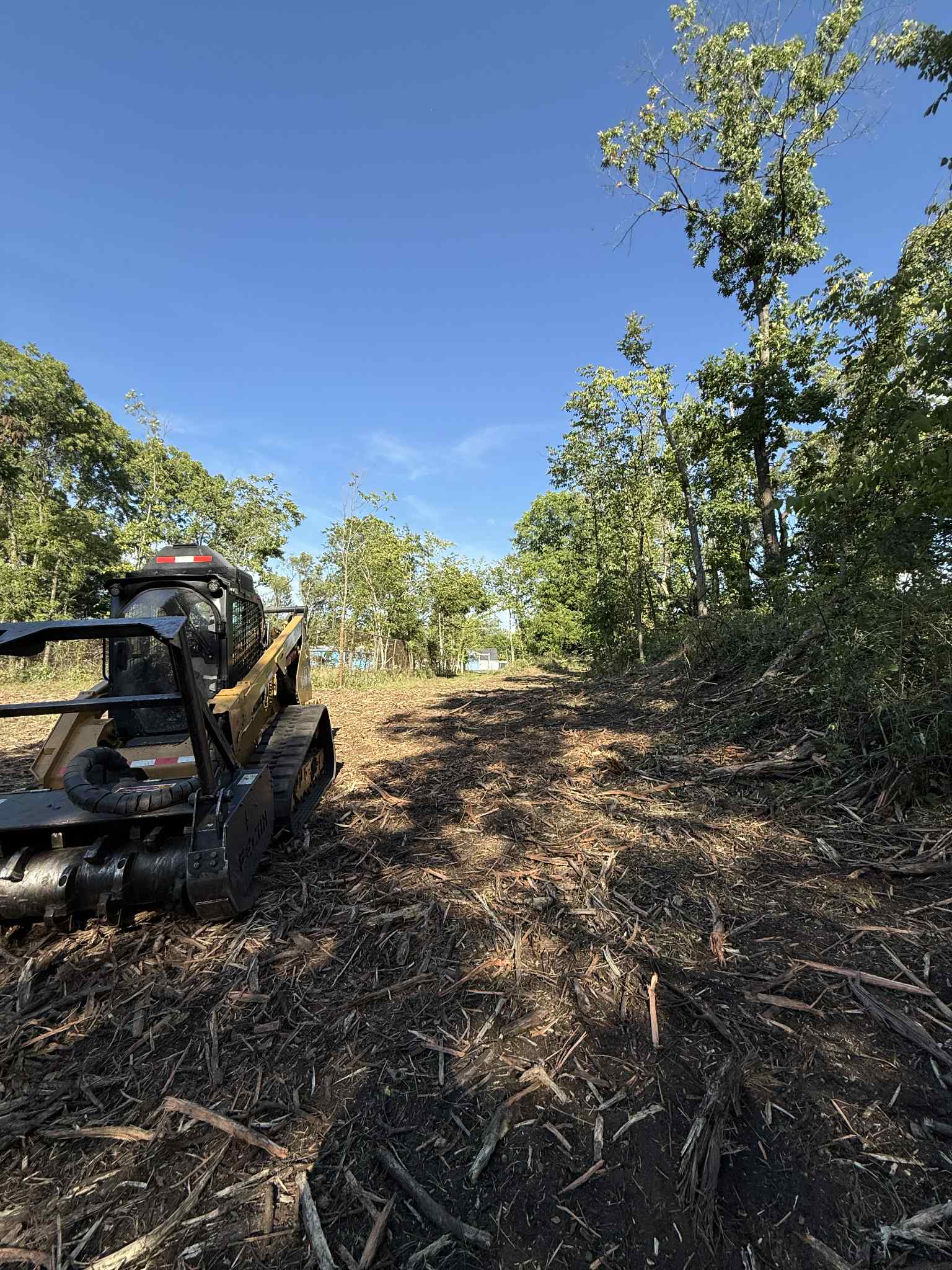 Clearing overgrown vegetation