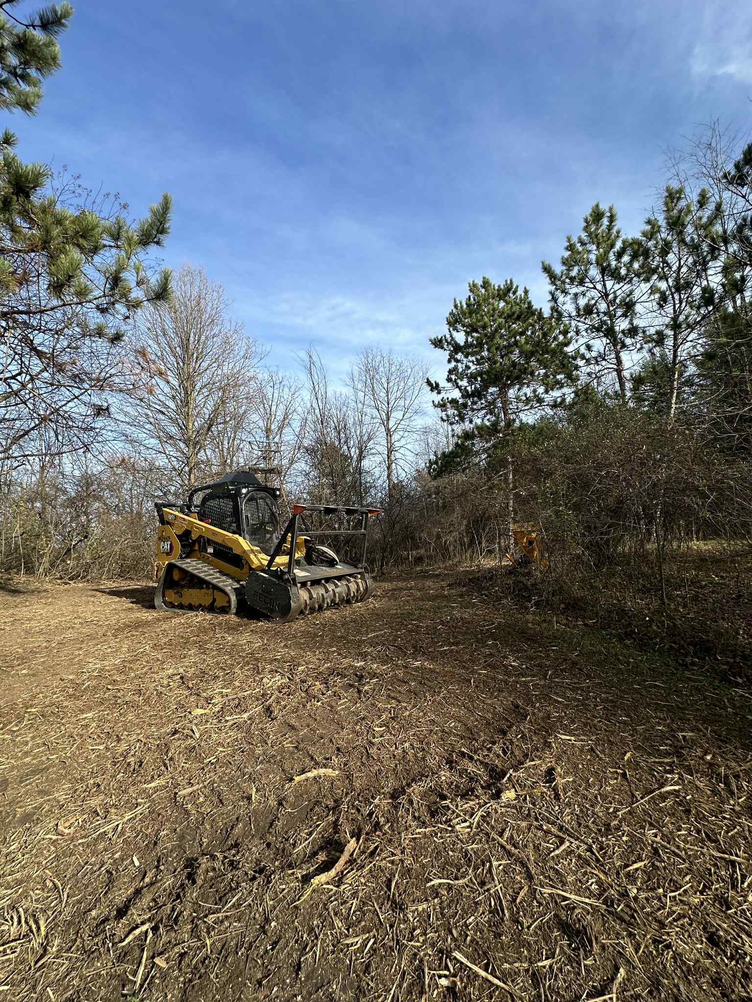 Land clearing project progress