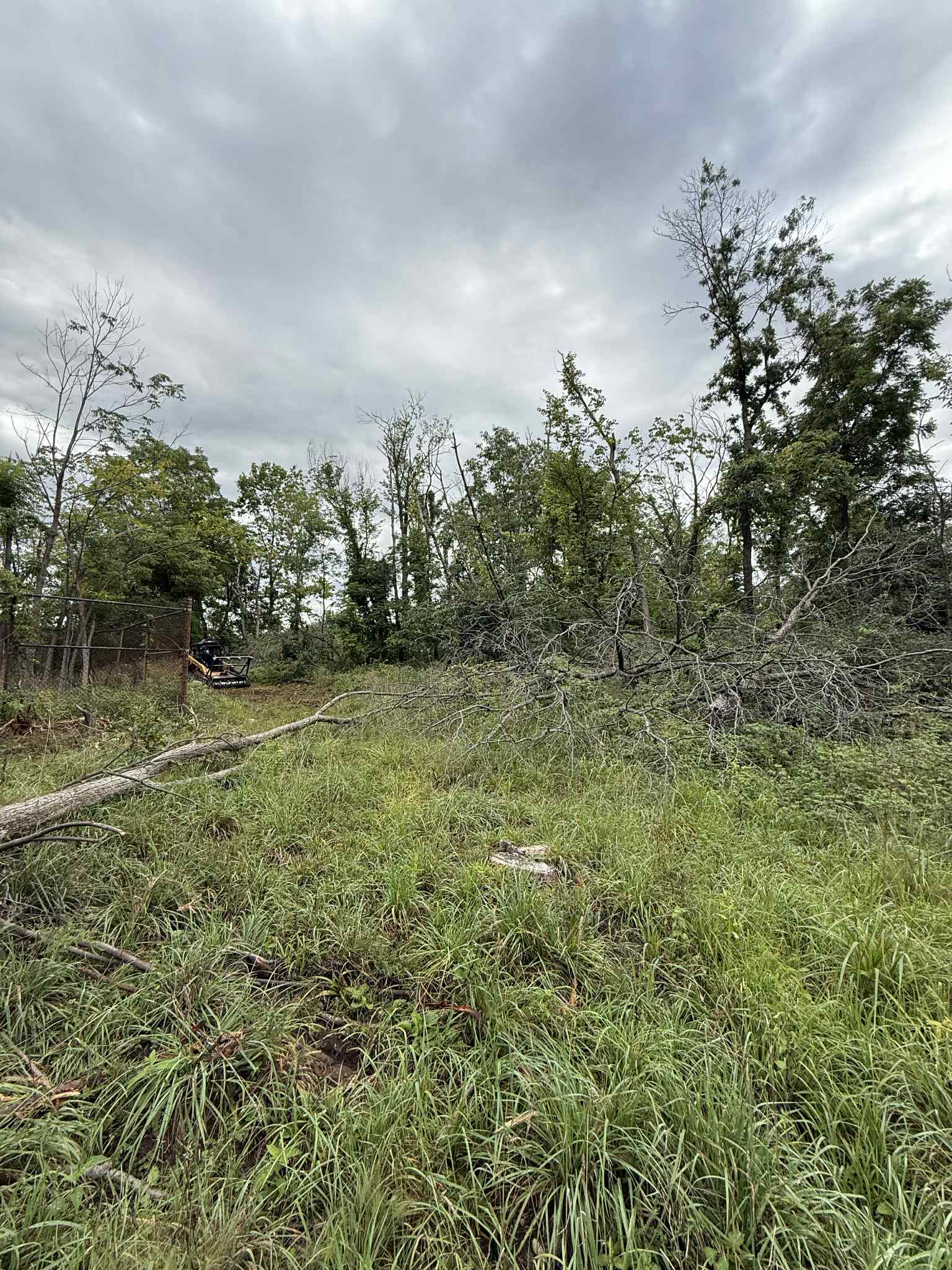 Land Clearing