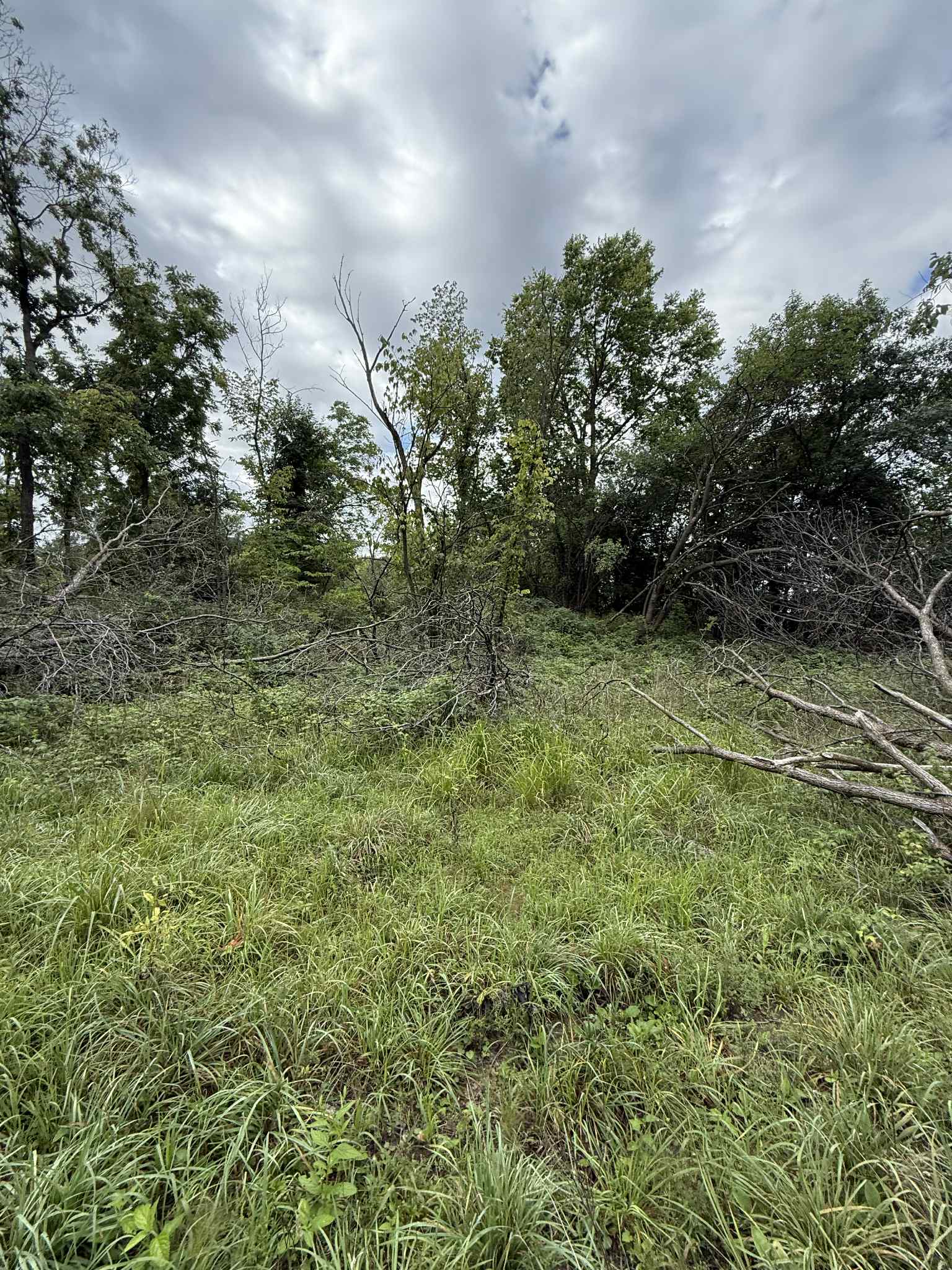 Land clearing equipment