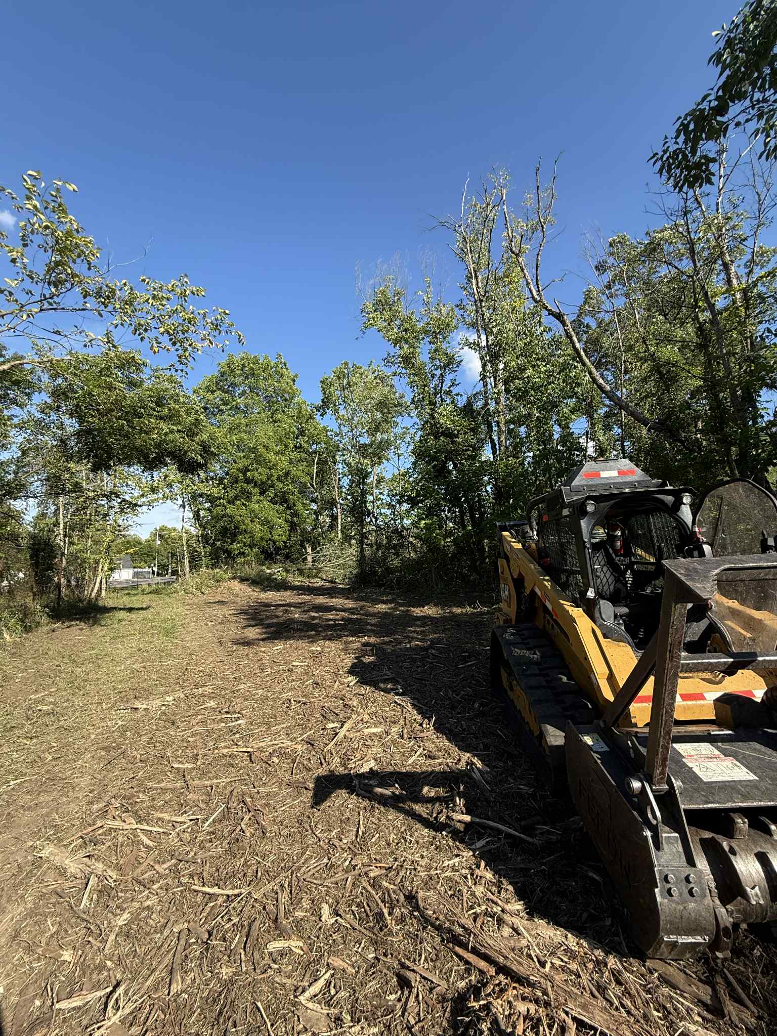 Land clearing operation