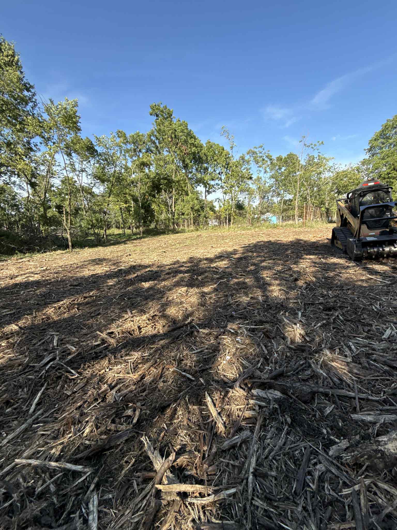 Land clearing project