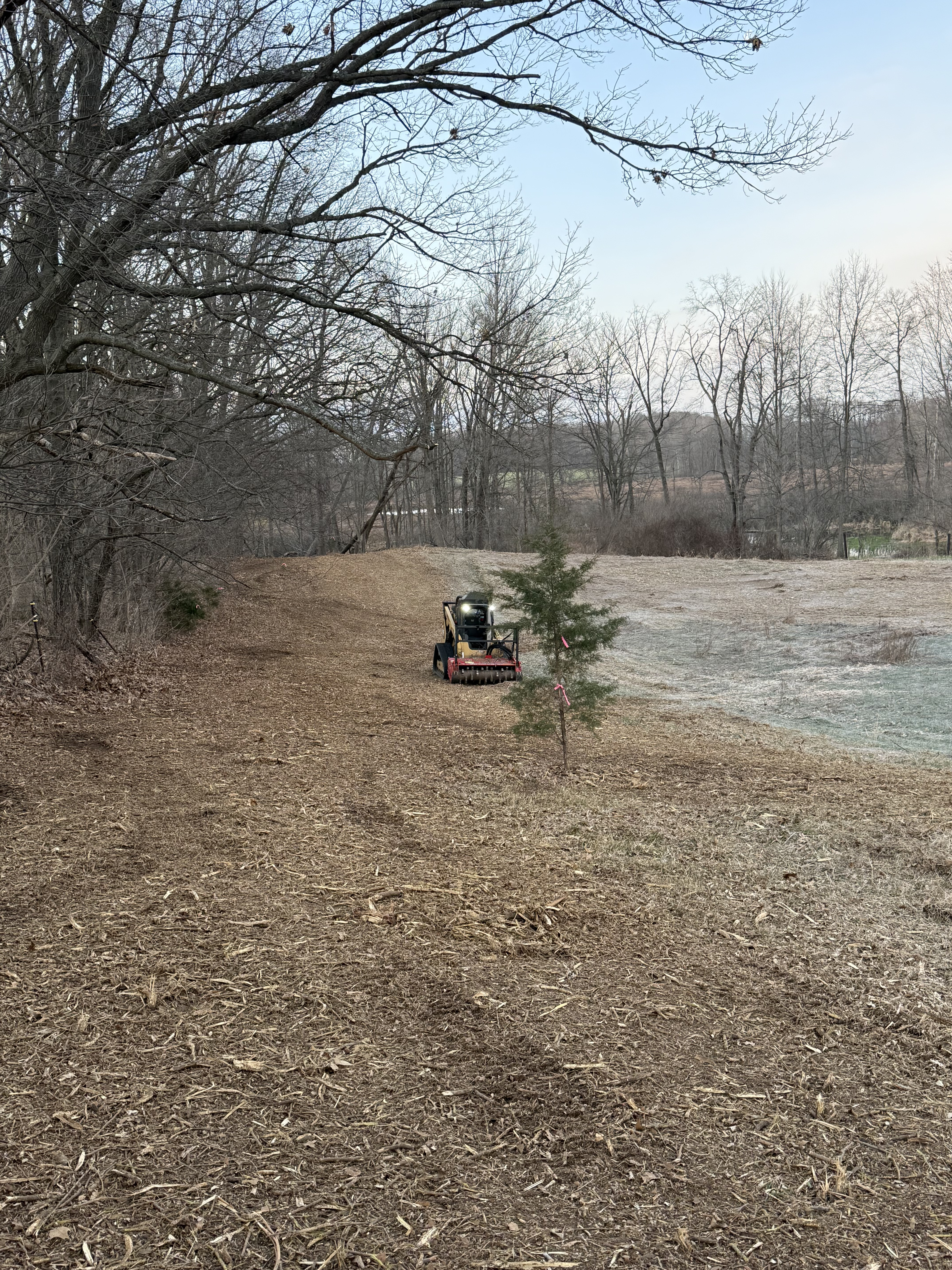 Mulching equipment clearing vegetation