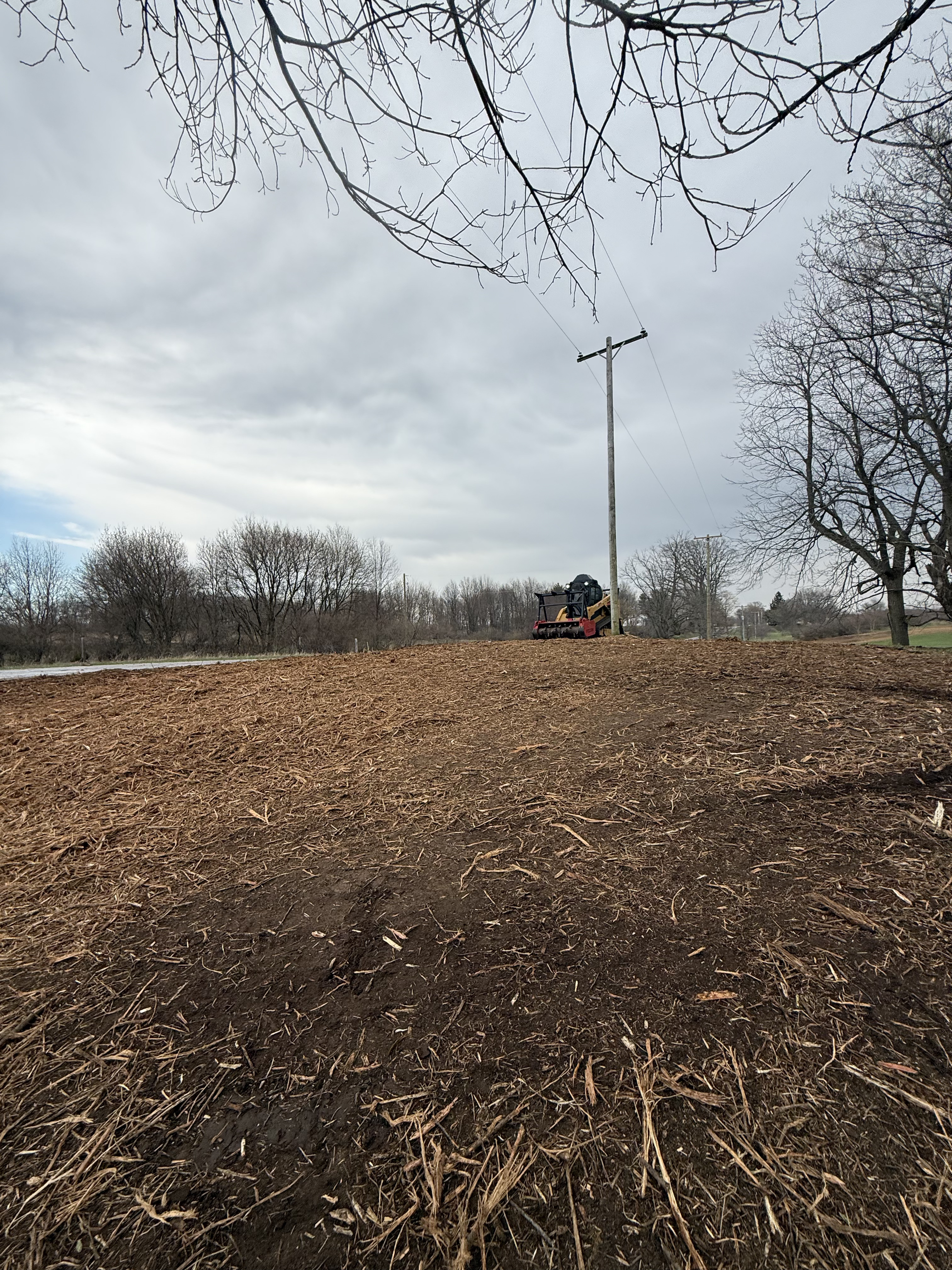 Forestry mulching project